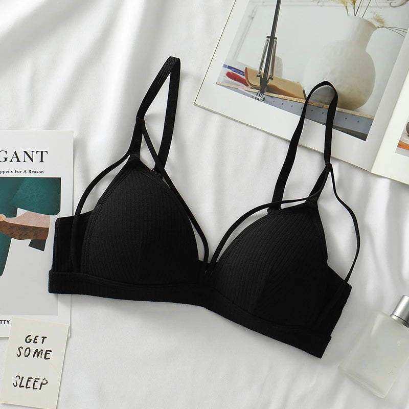 Seac2939a1caf41f59ec8e937c69dfdf6Y